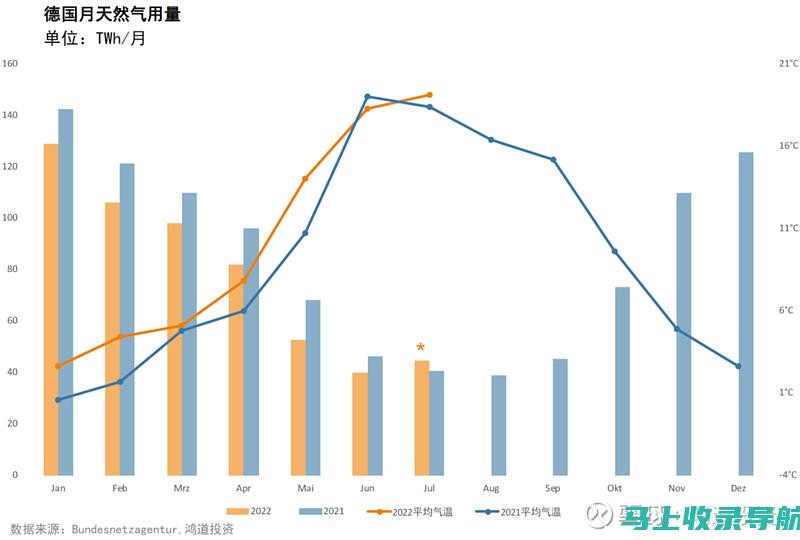 从数据看乡镇发展：统计站站长的视角与洞察